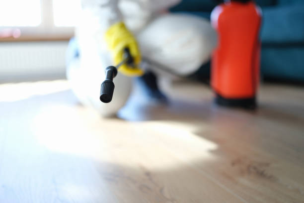 Best Asbestos and Lead Testing During Mold Inspection  in Long Valley, NJ