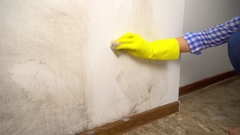 Best Industrial Mold Remediation  in Long Valley, NJ