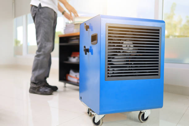 Best Comprehensive Air Testing for Mold Contaminants  in Long Valley, NJ
