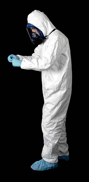 Long Valley, NJ Mold Removal Company